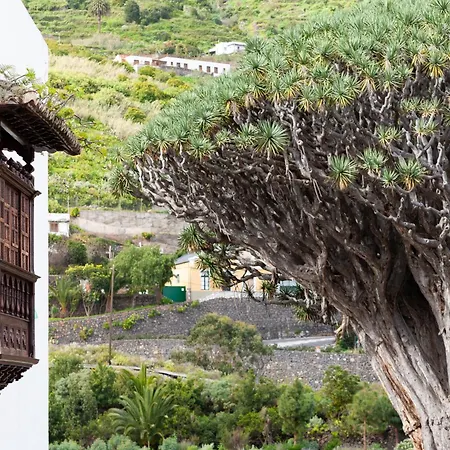 Tenohomes Atlantic View Terrace Icod San Marcos (Tenerife)